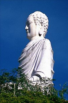 soi cau nha cai