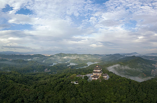 soi cầu