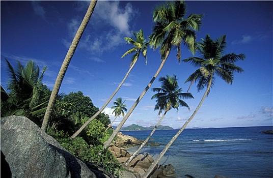 xs vung tau hom nay