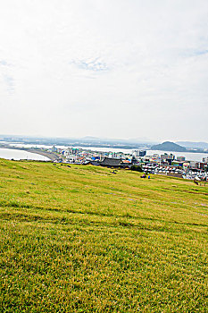 soi cau bach thu lo khung 3 ngay
