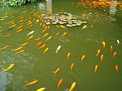 cách đánh số đề bao lô