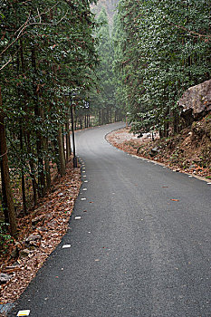 cau bach thu ngay mai
