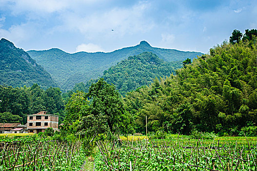 dự đoán mn