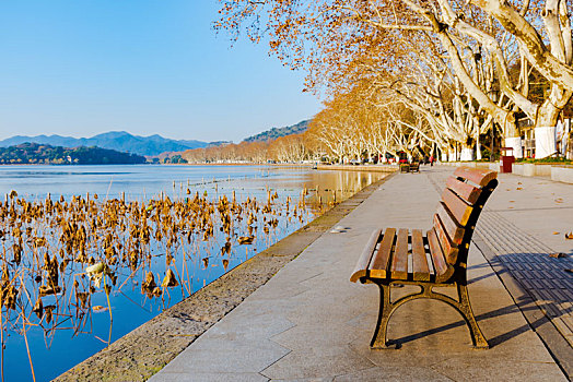 thong ke rong bach kim gio vang