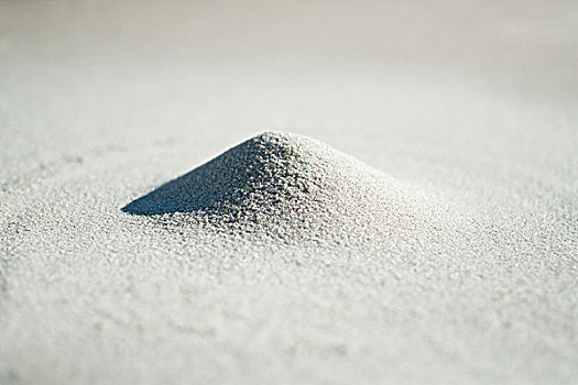 soicaulode bachthu