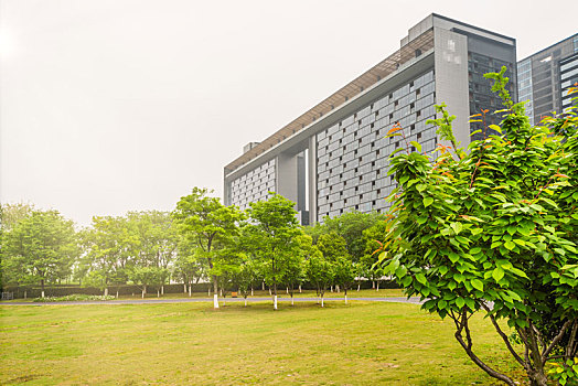 soi cầu thuận vũ