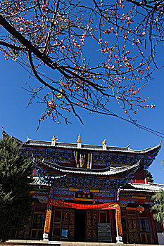 soi cau mien phi 2888
