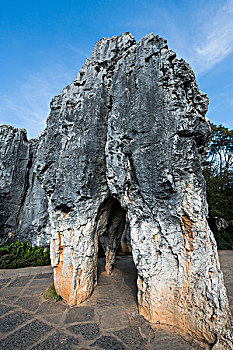 soi cầu xổ số vĩnh long