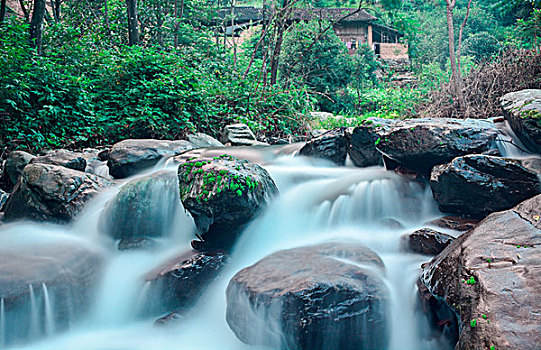 soi cau lo bach thu