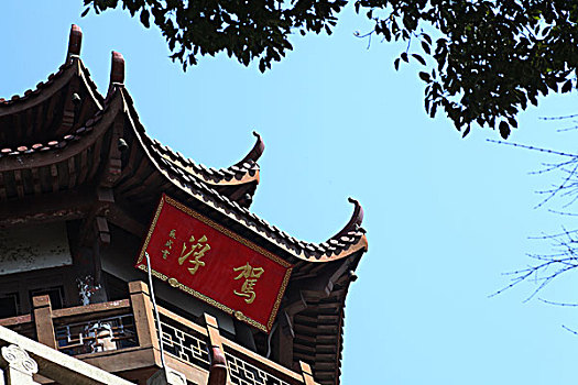 bạch thủ lô khung 3 ngày