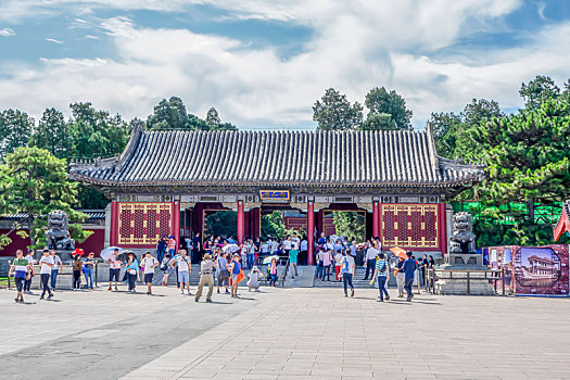 soi rong bach kim